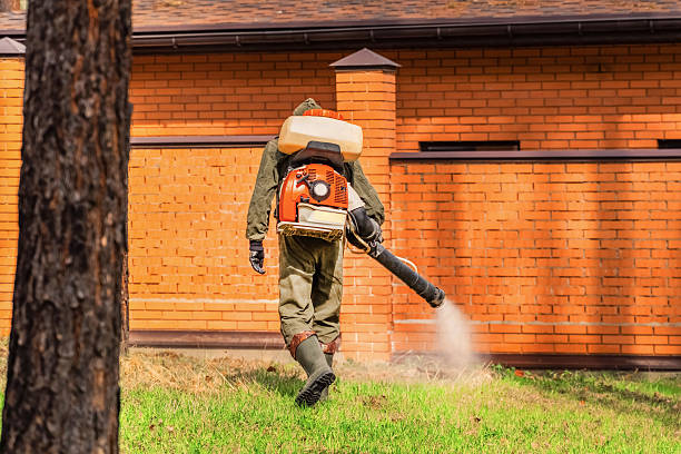 Trusted Emergency Pest Control service in Cordova, AL - Nex Pest Control